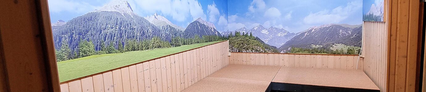 Der Hintergrund soll für eine passende Kulisse sorgen und später die Tiefenwirkung der Paradestrecke verstärken.